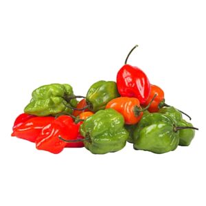 AJI DULCE KG