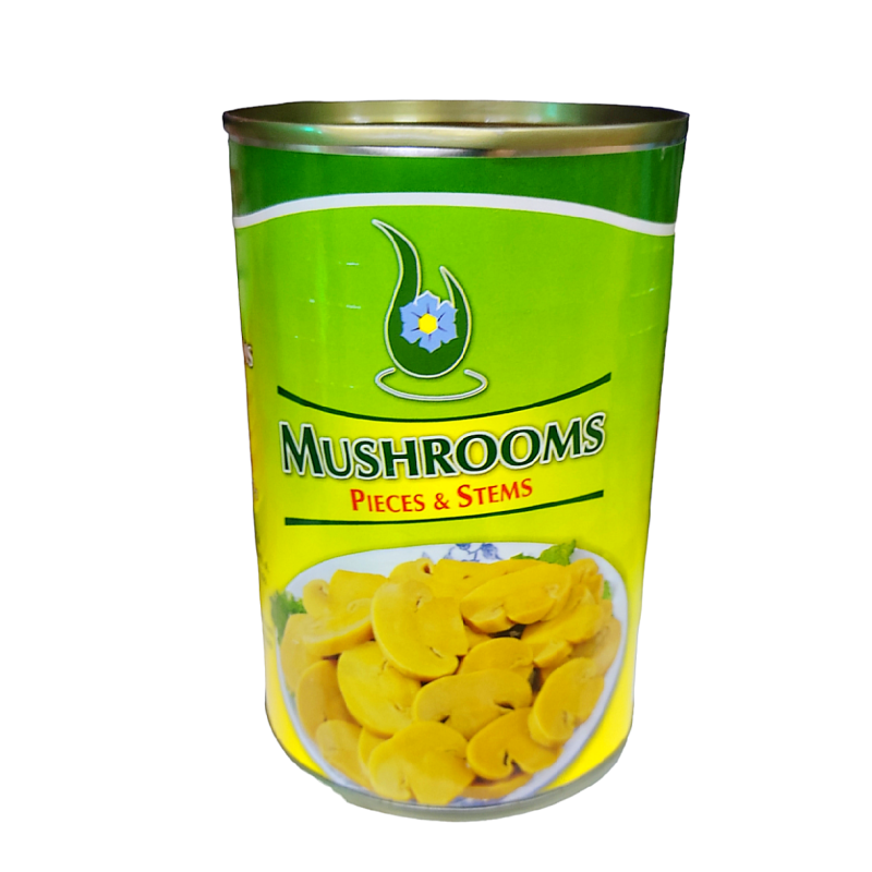 CHAMPIÑONES MUSHROOMD 424GR