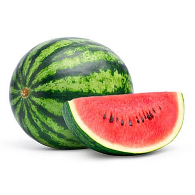 PATILLA 1 UNIDAD