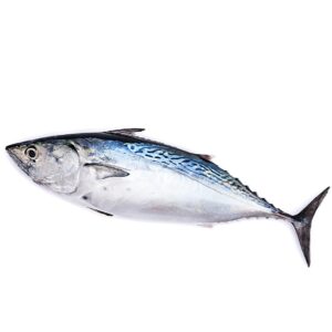 BONITA FRESCA KG