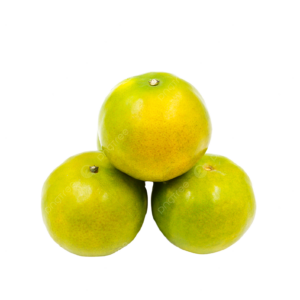 MANDARINA KG