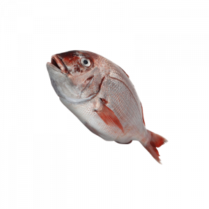 PARGO FRESCO KG