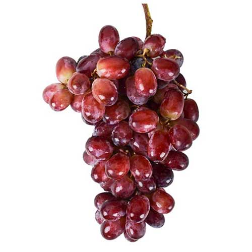 UVA ROJA100GR